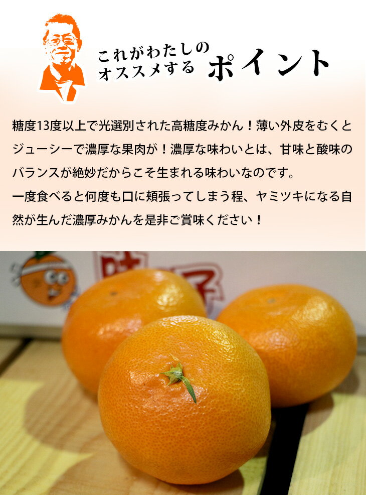 【送料無料】長崎県産 ハウスみかん 味っ子 L~2Lサイズ 15-20個【 長崎県 家庭用 みかん ミカン こたつ 蜜柑 柑橘 リッチ 贈り物 贈答 お祝い お返し 母の日 父の日 お中元 ギフト フルーツ お取り寄せ 果物 39ショップ 】
