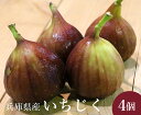 【送料無料】兵庫県産 いちじく 2L 1パック 4個入 【 兵庫県 びわ 家庭用 贈り物 贈答 お祝い お返し ギフト 甘い プレゼント フルーツ お取り寄せ ...