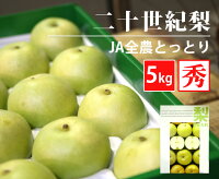 鳥取県産 二十世紀梨 18〜14玉入【5kg】【なし 梨 定番 フルーツ 鳥取県 果物 秋 家庭用 贈り物 ギフト 贈答 お祝い お返し 彼岸 みずみずしい プレゼント】