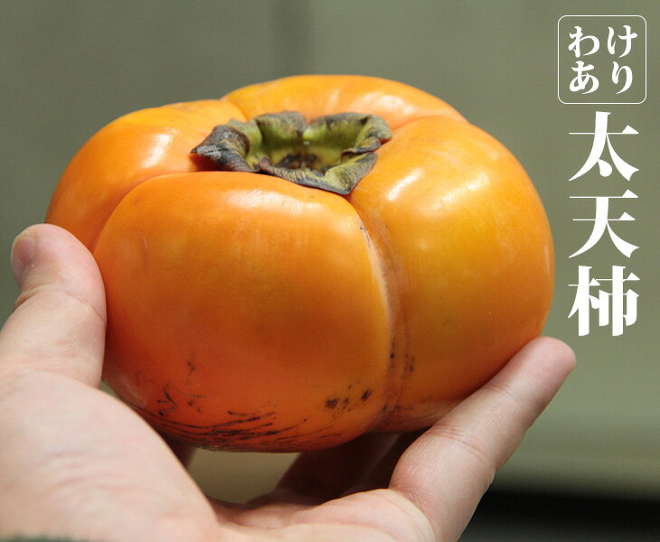 愛媛県産太天柿6kg