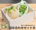 【送料無料】詰め合わせ セットB【静岡県産 クラウンメロン 福岡県産 シャインマスカット】【マスクメロン マスカット ギフト箱入り 贈答用 お中元 贈り物 ギフト 進物 お見舞い GABA 美容 カリウム ストレス フルーツ お取り寄せ うまい 果物】