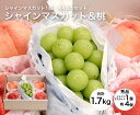 【送料無料】桃・シャインマスカット ギフトセット 4個 1房 【 ピオーネ ぶどう ブドウ 葡萄 マスカット セット 家庭用 贈り物 贈答 お祝い お返し フル...