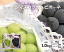 【送料無料】おまかせ 国産 ぶどう 2種 食べ比べギフト ピオーネ シャインマスカット 各1房 【 ぶどう 種なし ブドウ 葡萄 マスカット セット 家庭用 贈...