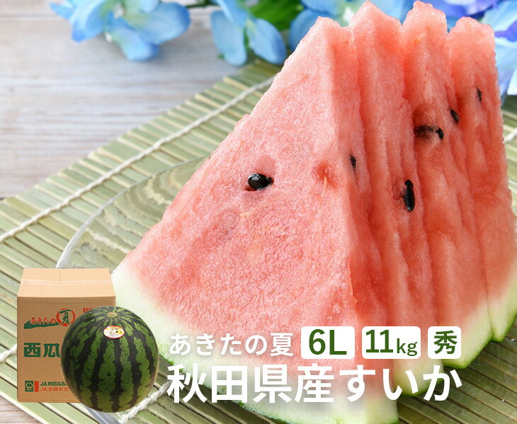 【送料無料】秋田県産　すいか【秀品 6L 1玉】【秋田県産 JAあきた スイカ 大玉 すいか 家庭用 贈り物 贈答 お祝い お中元 お返し 西瓜　大きい 特大 秀 果物 フルーツ お取り寄せ うまい 】