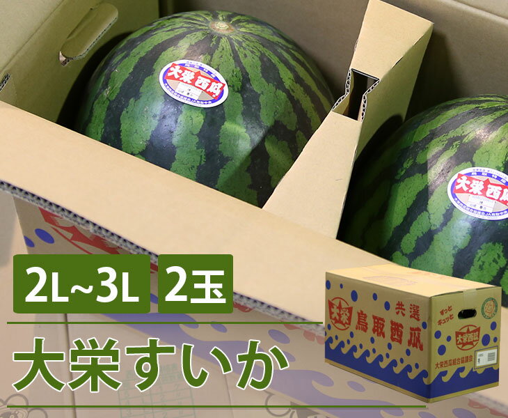 【送料無料】鳥取県産　大栄すいか【2L〜3L 2玉】【鳥取県産 JA全農とっとり 大玉 スイカ すいか 家庭用 贈り物 贈答 お祝い お中元 お返し 西瓜　大きい 秀 フルーツ お取り寄せ うまい 果物】