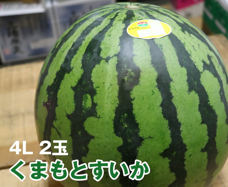 【送料無料】熊本県産 熊本すいか【 4L 2玉 】【国産 熊本 熊本産 スイカ すいか 4Lサイズ 特大 お中元 西瓜 高級 プレゼント 夏 スイカ割り 海 プレミアム 特別 高級 ギフト 贈り物 贈答 フルーツ お取り寄せ うまい 果物】