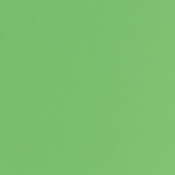 日本色研 トーナルカラー単色 夏休み 男の子 女の子 小学生 低学年 高学年 子供 幼児 大人 角型100枚組 薄緑色 150mm角 1