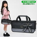 絵の具セット 洋服に付いた絵の具が落ちやすい サクラ マット水彩マルチ 女の子 小学校 小学生 コンパクト 画材セット フォーチュンリボン