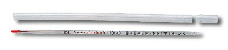 棒温度計 男の子 女の子 小学生 低学年 高学年 子供 幼児 大人