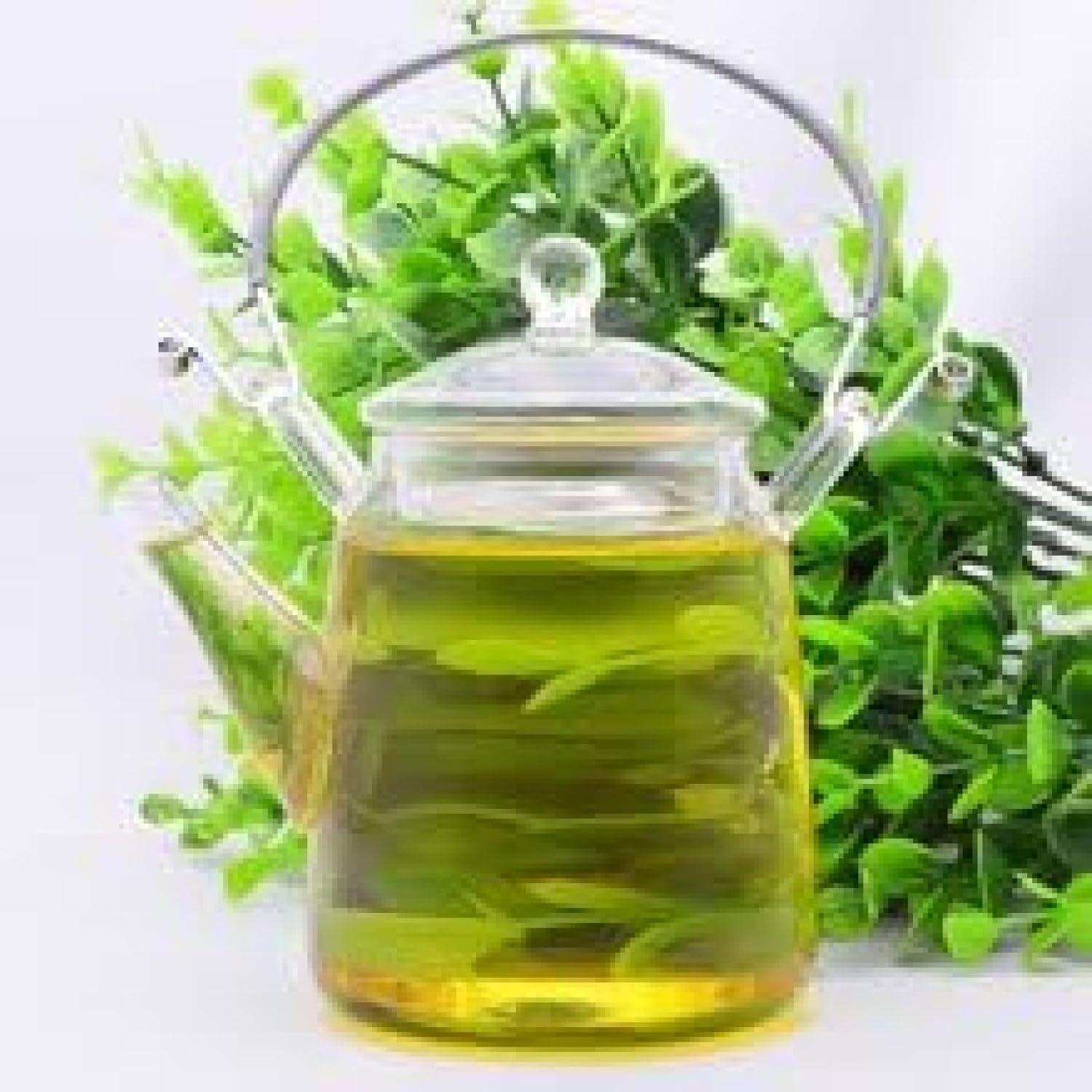 中国茶器 耐熱 ガラス 茶壺 急須 器 茶具 提梁壺II 300ml