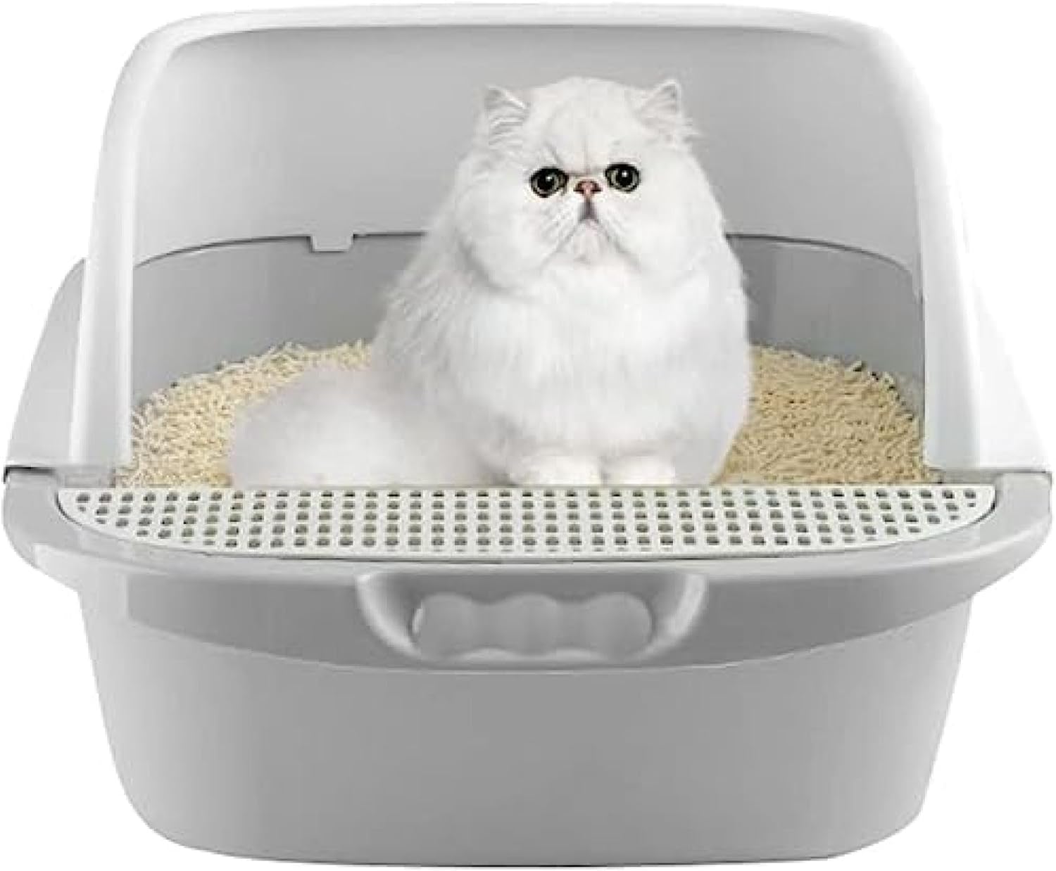 ˭㤨ǭȥ ǭѥȥ ͥȥ ڥåȥȥ ڥå ǭѺȭ ǭ Ⱦ̩ļ ӻɻ ǭ ǤפβǤʤ12,044ߤˤʤޤ