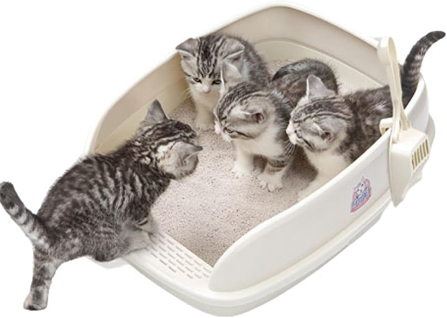 　　　 ◆◇◆売れている秘密◆◇◆ 【猫トイレ 大型】特大サイズは、より大きな猫や複数の猫の世帯に適しています 【多頭猫のトイレ】大きな猫や肥満猫にもゆったり利用できる大型の猫用トイレです。複数の猫が一緒に使用することもできます。 【掃除簡単】継ぎ目がないので、取り外しや取り付けの必要がなく、行き止まりがなく掃除が簡単です。 【高品質】厚みのある選り抜き素材を使用し、耐久性があり変形しません。 undefined 　　　◆◇◆注意事項◆◇◆ご覧のモニターの環境、撮影環境により実物と色味が異なって見える場合がございます。湿った状態で他のものと擦り合わせると色が移る恐れがあります。濃色品の洗濯時は、白色、淡色と分けて洗ってください。説明 -