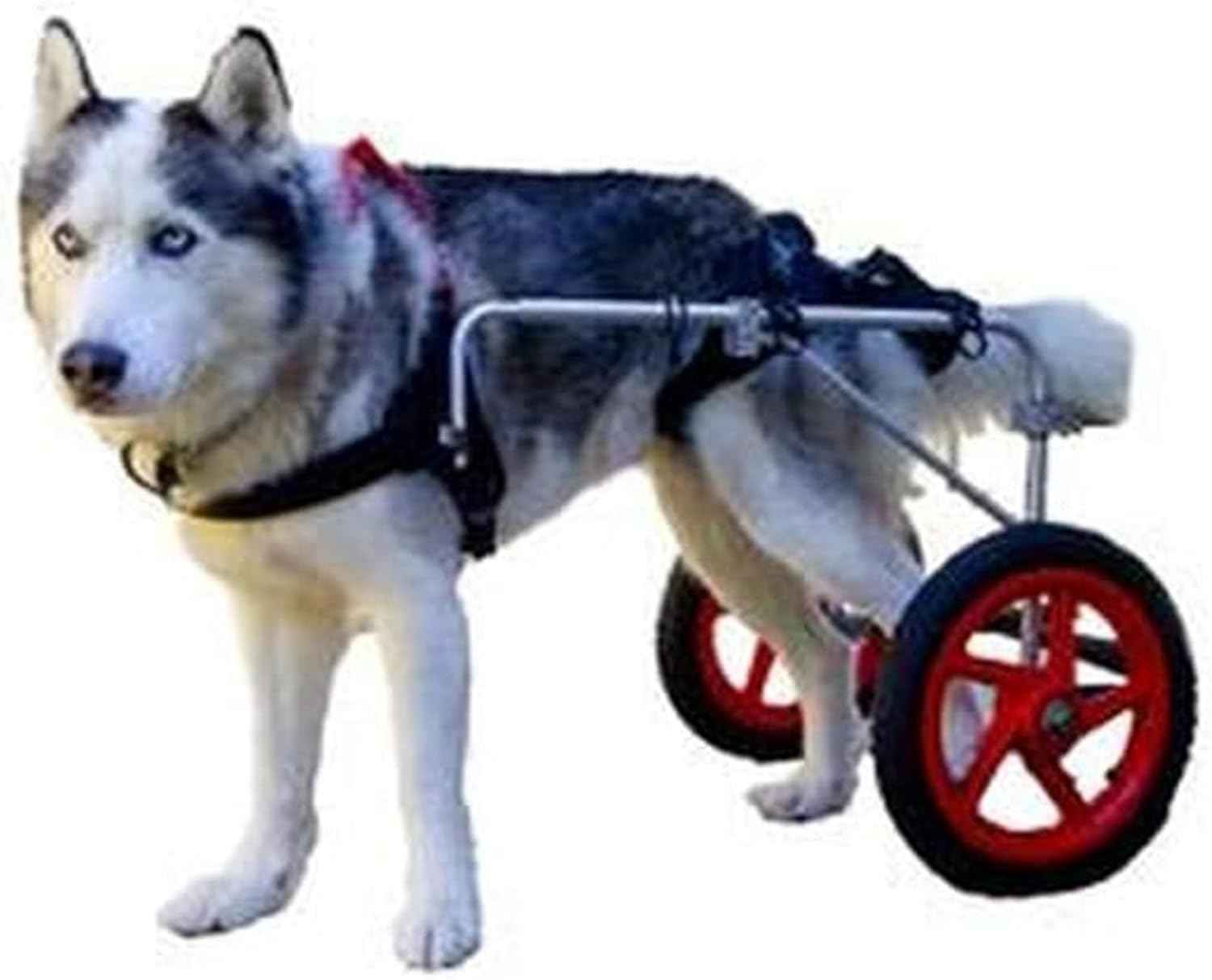 ペット用車椅子、調節可能な犬用車椅子ベビーカー、障害のある犬用補助歩行車、ペット用後ろ足運動車、..