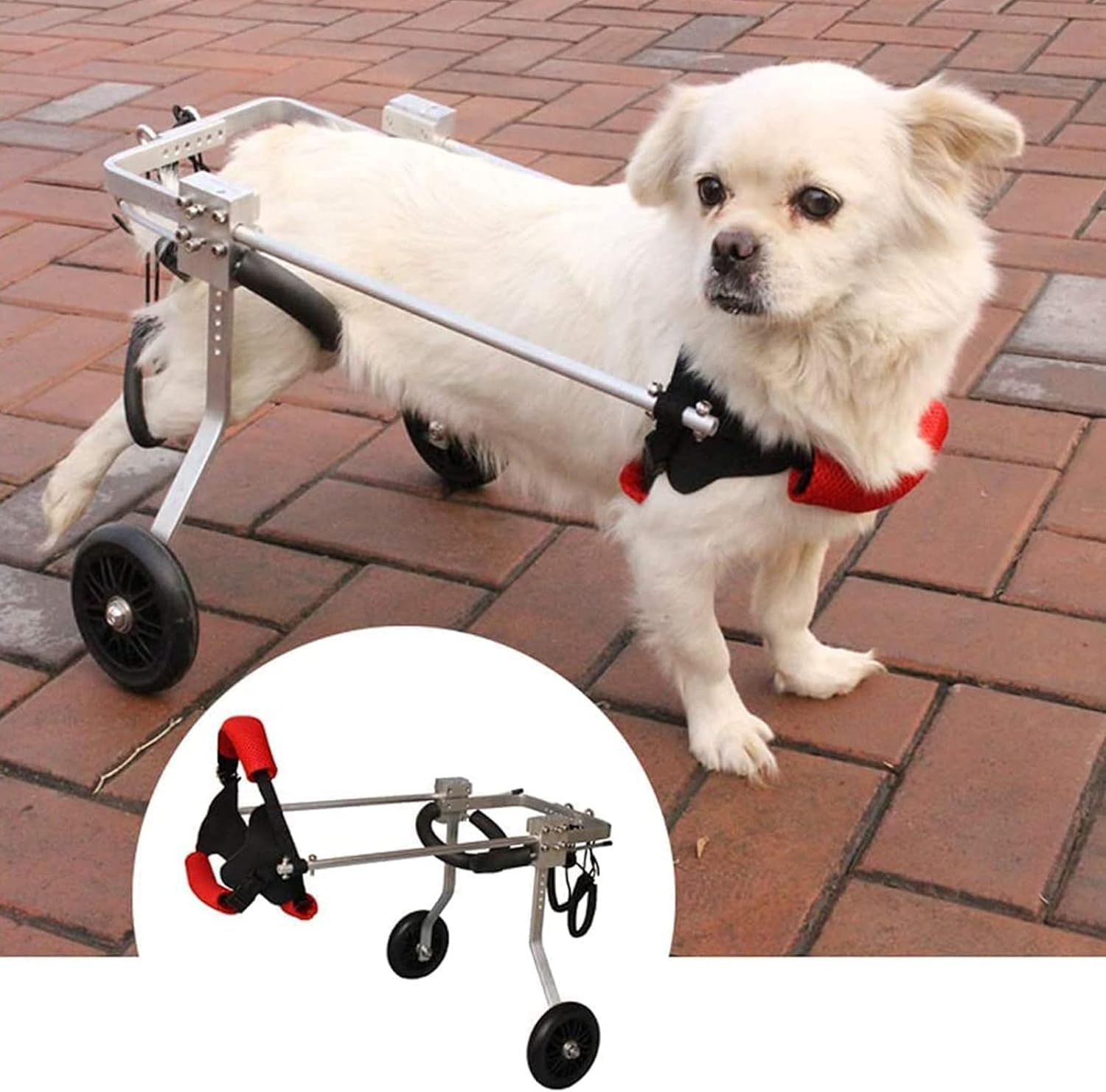 小型から中型の犬と猫用の調節可能な2輪ペット用車椅子、後ろ足のリハビリテーション用のステンレスス..