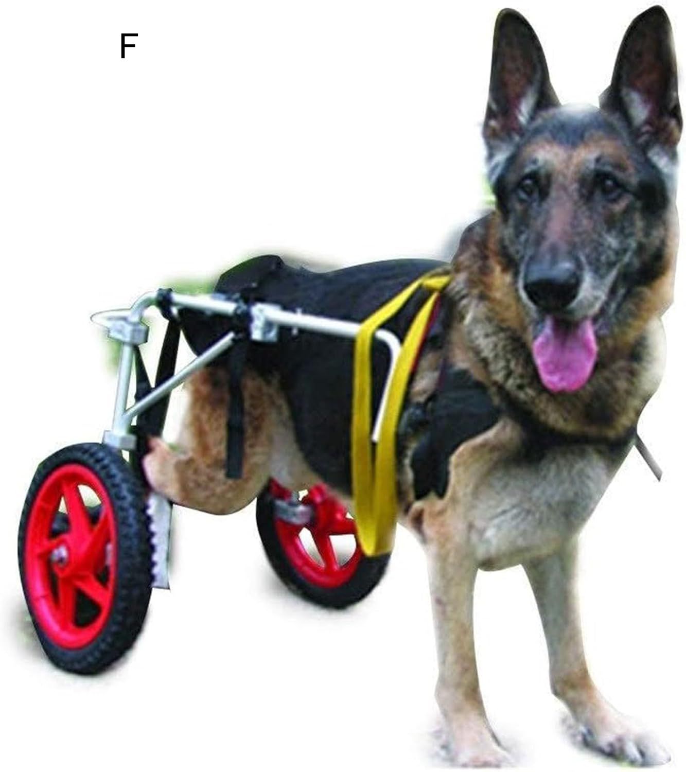 大型犬用調節可能な2輪ペット用車椅子 - 後ろ足のリハビリテーション用ステンレススチールフレーム、高..