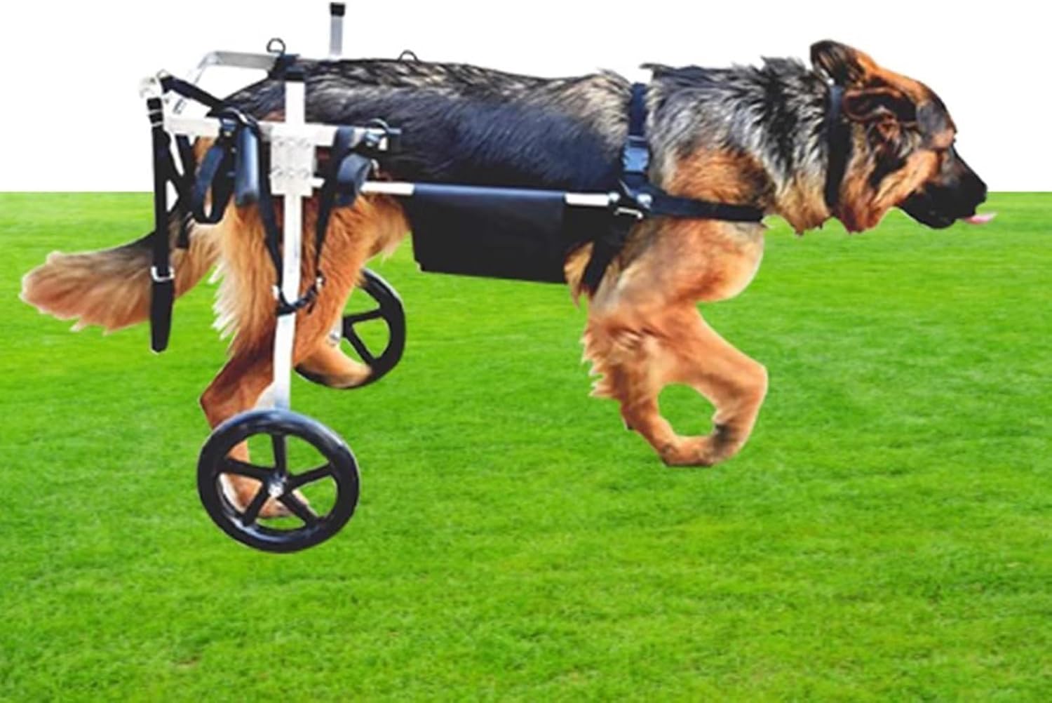 犬用車椅子 中型/大型犬用車椅子 後ろ足用 通気性 快適 動物運動 ペットリハビリテーションカート 麻痺..