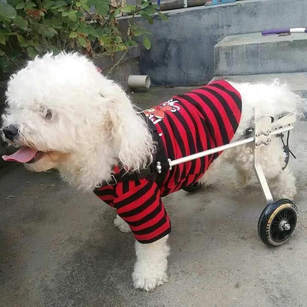 犬用ペット用車椅子 犬用車椅子 - 5〜15kgのほとんどの犬用 - 後部サポート 2輪調節可能 - ペット/猫用..