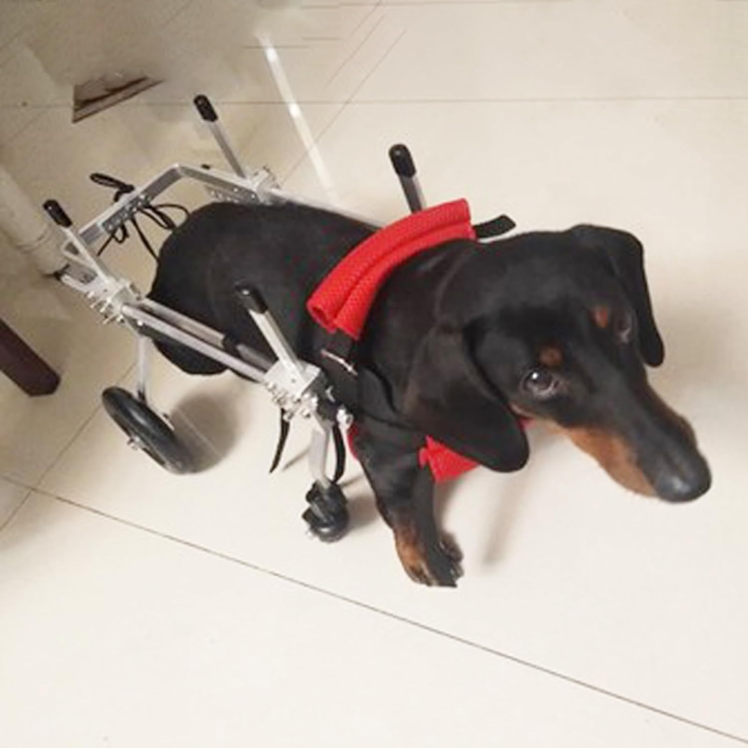 犬用車いす 後ろ足用の小型犬車椅子、 チェストホイールローリングサポートツールを保護し、 猫/犬/子..