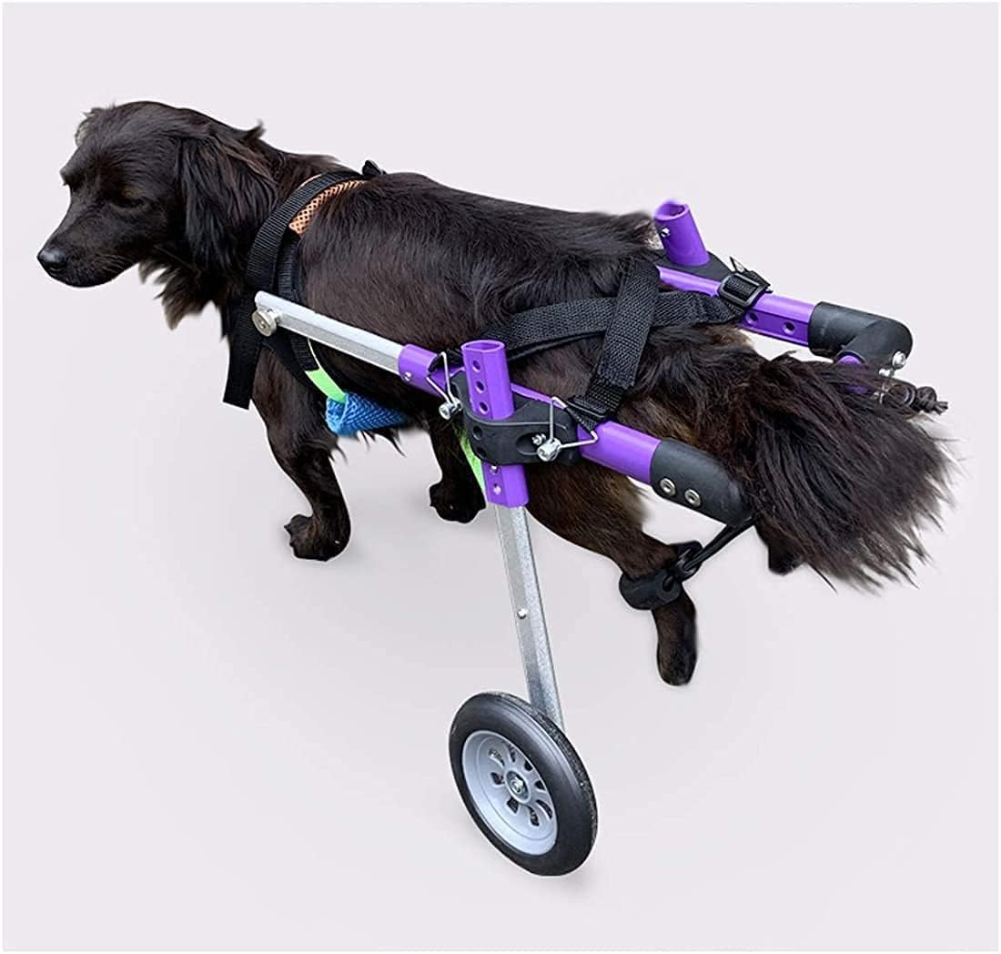 犬用車椅子 後ろ足用 軽量犬用車椅子 小型高齢犬、猫、ウサギ用 ペットスクーター 犬用カート ストラッ..