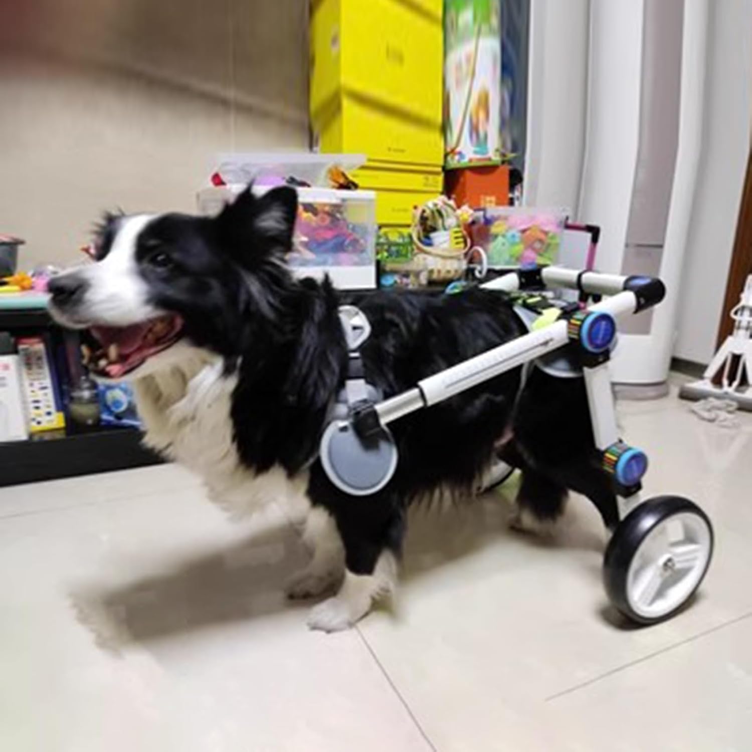 犬用車いす 小さい/媒体/大型犬の車椅子の回復、金属フレームの移動性のペット リハビリテーションのカ..