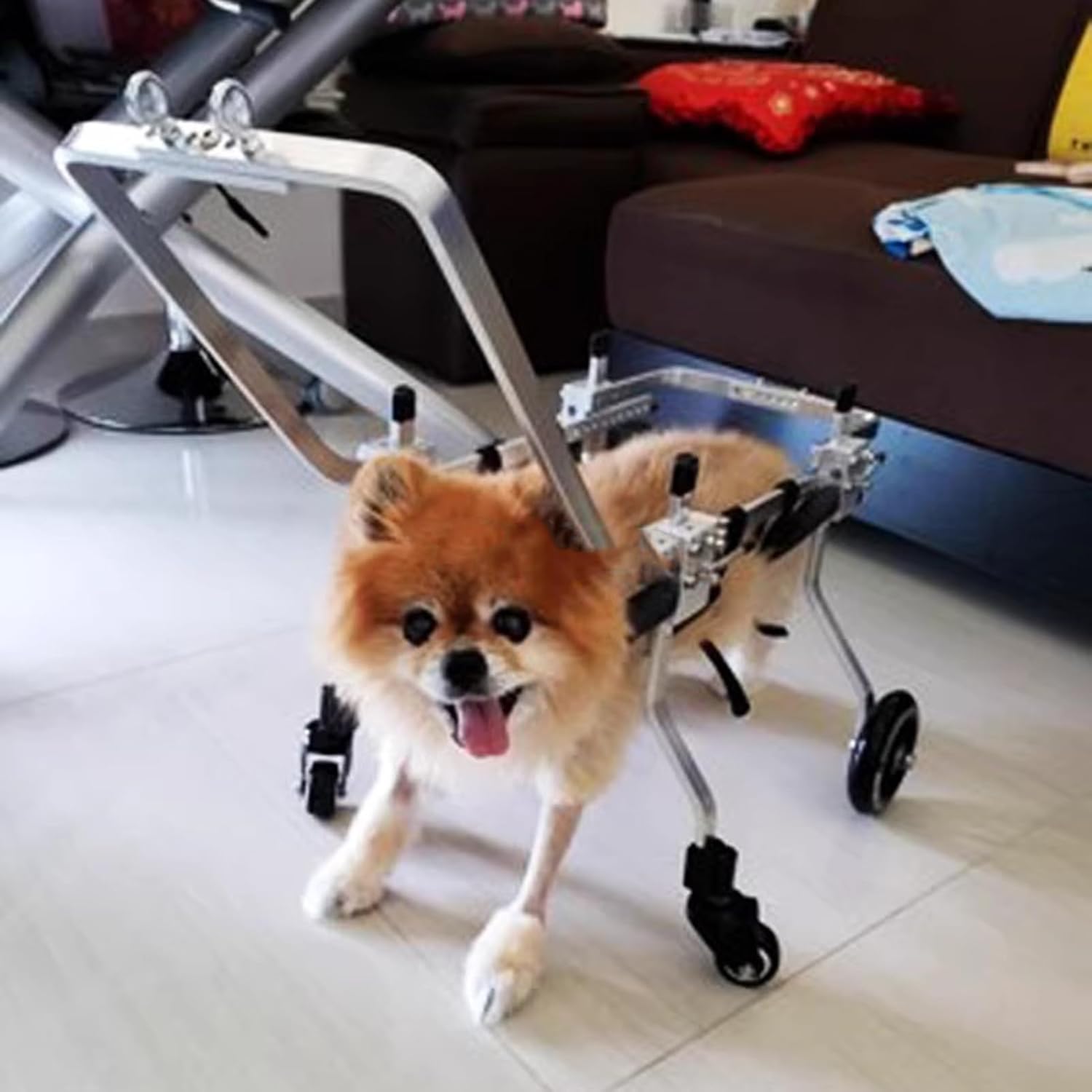 犬用車いす ペットリハビリテーション車椅子カート、 小さなペットがハンドルでモビリティドッグ車椅子..