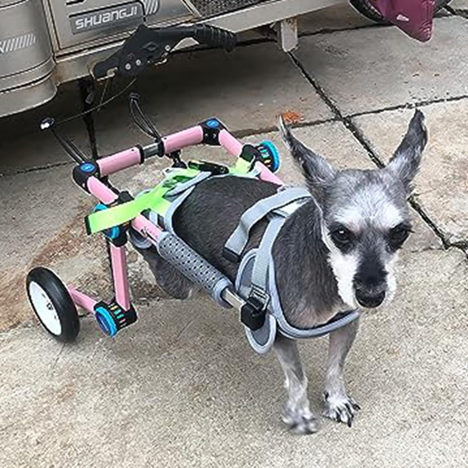 犬用車いす ピンクの小さな犬車椅子、 障害のある後肢/年上の犬用のアルミニウムフレームペットリハビ..