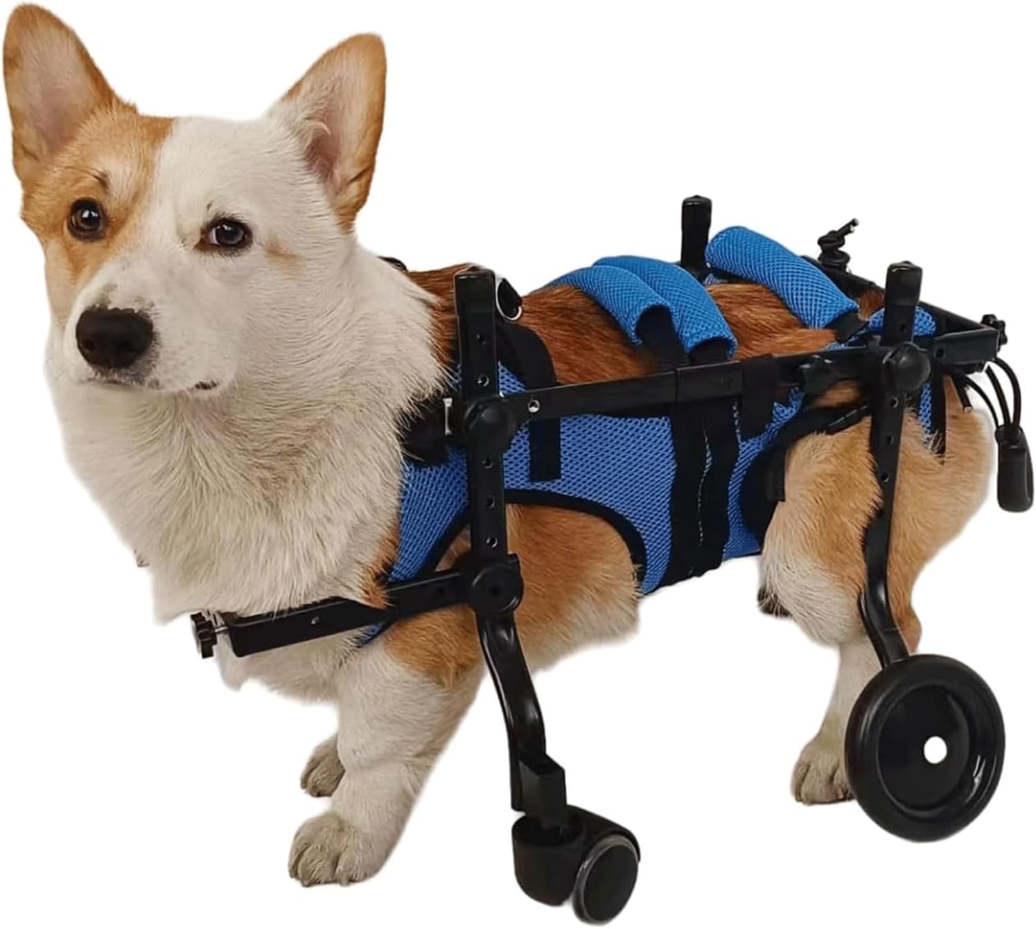 軽量ペット用車椅子 調節可能なアルミ製犬用カート 3サイズ XS、S、M 犬用車椅子 ポータブル犬用後脚車..