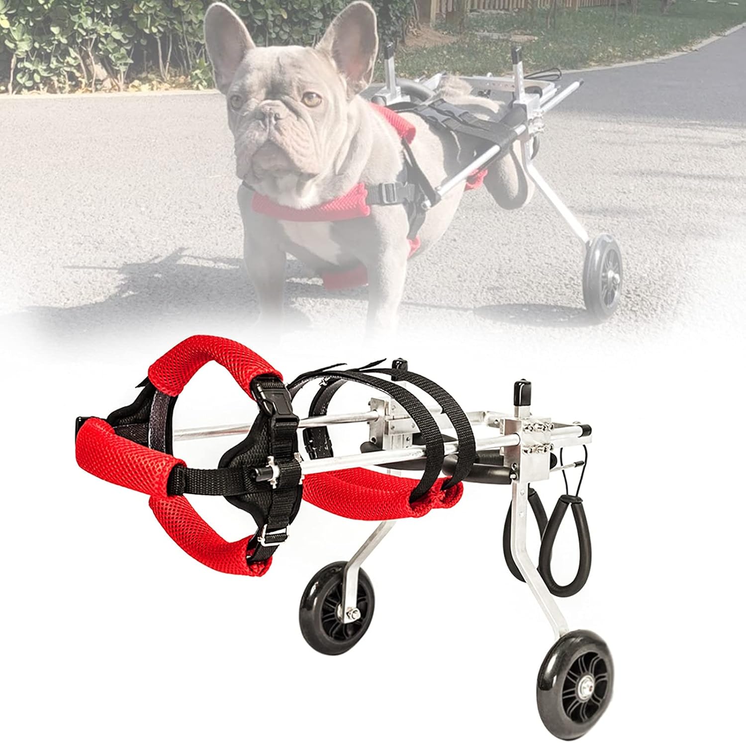 犬用車椅子、調節可能な犬用歩行器、犬猫後肢リハビリテーション用の二輪障害者ペット後肢訓練車、ペッ..