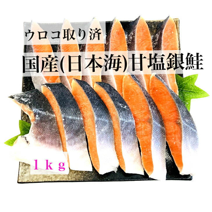 【デイリーランキング1位獲得】【送料無料】国産 甘塩銀鮭 無添加 1kg 11切〜14切 ウロコ取り 日本海 お中元 お歳暮 冷凍 鮭 銀鮭 ギフト 贈り物 バラ凍結 銀鮭切り身 国産銀鮭 さけ しゃけ 切身 切り身 日本海 日本 日本産 甘塩 甘口 塩銀鮭 塩鮭 厚切り サーモン