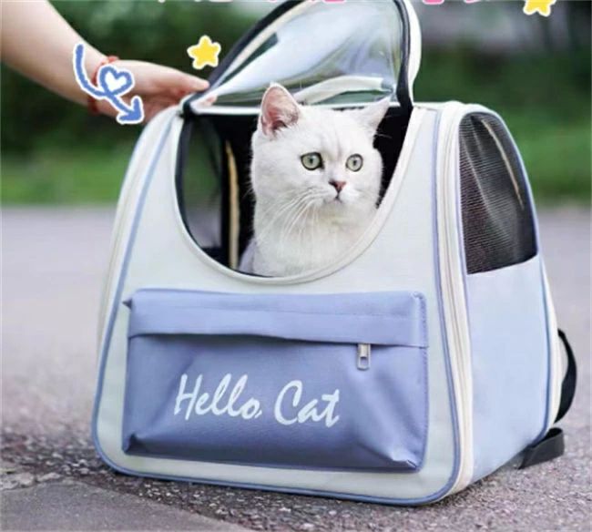 最新型 犬 猫 リュック カーテン付きの ペットキャリー 折り畳み式 きゃりーバッグ 小型犬?小動物用 旅..
