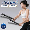 【2本セット】ロープレス バトルロープ コードレスバトルロープ 自宅トレーニング 筋トレ 上半身 腹筋 背筋 シックスパック室内
