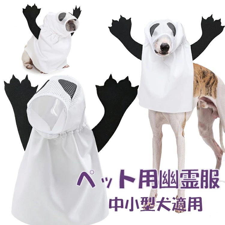  淿  ǭ ޥ 塼 ǭ ϥ ơޥѡƥǭμ̿ ڥåȥϥ 