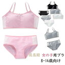 女の子 ブラ 上下セット 8-14歳向け 少女ブラ キッズ用 下着 細い紐がデザイン 部活ブラ ガールズ スポーツブラ ショーツセット
