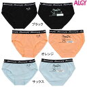 ALGY(アルジー)ベアプレゼントロゴショーツ135-165cm2022AWG452042