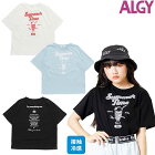 ALGY/른/ܿ䴶ۡڵۿ®ۥޡɥ󥯥ץT/G307054