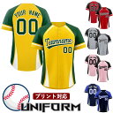 野球 ユニフォーム ベースボールシャツ 背番号 アイロン ユニフォーム トップスのみ 男子 野球 ユニホ 女子 チーム 大人 中学生 高校生 大学生オーダー シ...