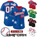 野球 ユニフォーム ベースボールシャツ 背番号 アイロン ユニフォーム トップスのみ 男子 野球 ユニホ 女子 チーム 大人 中学生 高校生 大学生オーダー シ...