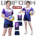 バレーボール ユニフォーム 背番号 アイロン 女子バレー 高校生 コスチューム 男子 バレーボール ウエア 中学校 高校 バレー部 大学 シャツ 名入れ 半袖 ...