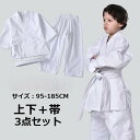 空手着 授業用 中学 ジュニア 上下セット セット 上下 上着 ズボン 帯 3点 小学生 中学生 初心者 格闘技 練習着 部活 ホワイト 白帯 無