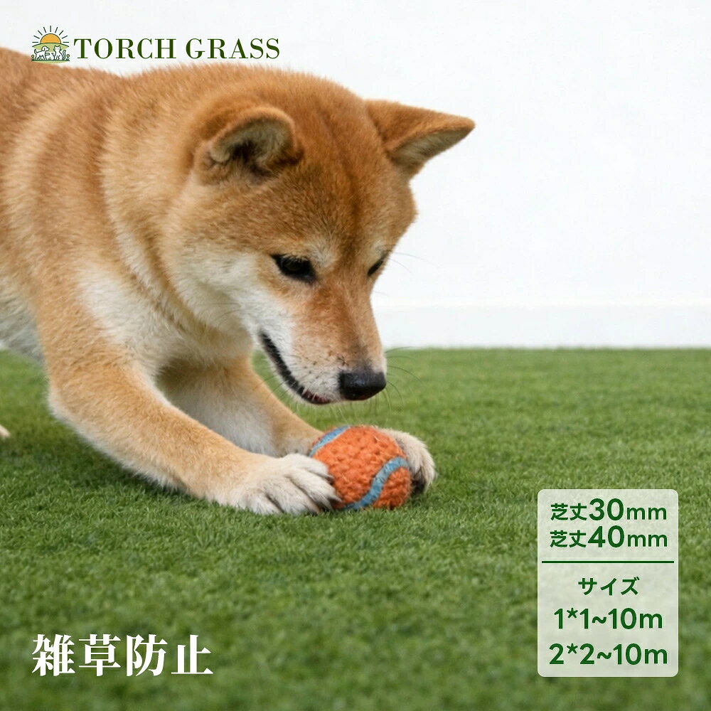 施工面積に合わせて選べる、芝丈約40mmの人工芝ロール 庭、ベランダ、バルコニー、テラスなどを、手軽に緑の空間へ整えられる人工芝ロールです。 芝丈約40mmのふんわりとしたボリューム感と、複数色の芝葉を組み合わせた自然な見た目が特徴です。 1m×5mは約5平米、1m×10mは約10平米、2m×10mは約20平米に対応。 施工する場所の広さに合わせて、必要なサイズをお選びいただけます。 水やりや芝刈りなどの日常的なお手入れが不要で、庭づくり、ベランダの模様替え、ドッグラン、子どもの遊び場など、幅広い用途におすすめです。 ■ 施工面積に合わせて選べる3サイズ 設置する場所の広さに合わせて、3種類のロールサイズからお選びいただけます。 ・1m×5m：約5平米 ・1m×10m：約10平米 ・2m×10m：約20平米 たとえば、縦2m×横3mの場所に施工する場合、必要面積は約6平米です。 端部のカットや施工時のずれを考慮し、実際の施工面積より少し余裕を持ってご注文いただくことをおすすめします。 ※表示サイズは製造上、多少の誤差が生じる場合があります。 ■ 必要な人工芝の面積を計算する方法 施工場所の「縦の長さ×横の長さ」で、必要な平米数を計算できます。 例： 縦2m×横5m＝10平米 縦3m×横4m＝12平米 縦4m×横5m＝20平米 複雑な形状の場所は、いくつかの四角形に分けて計算し、最後に面積を合計してください。 柱や室外機などの障害物がある場合も、カット分を考慮して余裕を持った数量をおすすめします。 ■ 芝丈約40mmのふんわりとした踏み心地 芝丈約40mmの長めの芝葉を採用し、見た目にもボリュームのある仕上がりです。 素足で歩いたときも硬さを感じにくく、庭やベランダをくつろぎやすい空間へ整えます。 ドッグランや子どもの遊び場など、地面の硬さを和らげたい場所にもおすすめです。 ※人工芝は転倒時のけがを完全に防ぐものではありません。 ■ 自然な色合いの芝葉 濃淡の異なる複数色の芝葉を組み合わせ、本物の芝生に近い自然な色合いを表現しています。 一色だけの人工芝に比べて平面的に見えにくく、庭やテラスにもなじみやすいデザインです。 季節を問わず、緑のある景観を手軽に楽しめます。 ■ 水やり・芝刈り不要 天然芝のような水やり、芝刈り、肥料などの日常的なお手入れは必要ありません。 忙しい方や、芝生の管理に時間をかけたくない方にもおすすめです。 表面に落ち葉やごみがたまった場合は、ほうきやブロワーなどで取り除いてください。 泥や汚れが付いた場合は、水で洗い流し、十分に乾燥させてください。 ■ 裏面に水抜き穴付き 人工芝の裏面には、水を排出しやすくするための水抜き穴を設けています。 雨が降る屋外や、水を使用するベランダなどにも設置しやすい仕様です。 ※設置場所の排水勾配や下地の状態によっては、水がたまる場合があります。 ※施工前に排水口をふさがないことをご確認ください。 ■ ハサミやカッターでサイズ調整可能 人工芝の裏面からハサミやカッターでカットできるため、設置場所の形状に合わせて調整できます。 柱、排水口、室外機、花壇などの形に合わせたDIY施工にも便利です。 カットする際は芝葉まで切らないよう、裏面から少しずつ作業してください。 刃物を使用する際は、手袋を着用し、けがに十分ご注意ください。 ■ 土の上での固定に便利なU字ピン付き 庭や土の上へ施工する際に使用できるU字ピンが付属しています。 人工芝の端や継ぎ目をピンで固定することで、ずれやめくれを抑えます。 ※付属するU字ピンの本数は、選択するサイズによって異なる場合があります。 ※付属内容は商品画像および商品選択欄をご確認ください。 ※コンクリートやベランダへの設置には、別途両面テープや人工芝用接着剤などが必要です。 ■ 防草シートについて コンクリートやベランダなど、雑草が生えない下地では、そのまま人工芝を施工できます。 庭や土の上へ施工する場合は、雑草の発生状況に応じて防草シートを併用することをおすすめします。 人工芝だけでは、継ぎ目や端部、水抜き穴などから雑草が生える可能性があります。 長期間きれいな状態を保ちたい場合は、施工前に雑草や石を取り除き、地面を平らに整えてから防草シートを敷いてください。 ■ おすすめの使用場所 ・庭、玄関まわり ・ベランダ、バルコニー ・テラス、屋上 ・ドッグラン、ペットスペース ・子どもの遊び場 ・プールサイド ・店舗、展示スペース ・イベント会場 ・室内のディスプレイスペース ・サッカーやゴルフの練習スペース ※本商品は競技場向けの専門スポーツ用人工芝ではありません。 ■ 土の上への基本的な施工方法 1．施工場所の雑草、石、ごみなどを取り除きます。 2．地面を平らにならし、しっかり転圧します。 3．必要に応じて防草シートを敷き、固定します。 4．人工芝を広げ、芝葉の向きをそろえます。 5．設置場所の形に合わせて裏面からカットします。 6．端部や継ぎ目をU字ピンで固定します。 7．芝葉をブラシなどで起こして仕上げます。 ■ コンクリート・ベランダへの基本的な施工方法 1．床面の砂、ごみ、油分、水分を取り除きます。 2．人工芝を仮置きし、位置と芝葉の向きを確認します。 3．設置場所の形に合わせて人工芝をカットします。 4．人工芝用両面テープや接着剤などで固定します。 5．排水口をふさいでいないことを確認します。 ※賃貸住宅では、管理規約や原状回復の条件をご確認ください。 ■ 商品仕様 商品名：人工芝ロール 芝丈：約40mm サイズ：1m×5m、1m×10m、2m×10m 施工面積：約5平米、約10平米、約20平米 仕様：水抜き穴付き 付属品：U字ピン 用途：庭、ベランダ、バルコニー、テラス、ドッグラン、DIYなど 設置場所：屋内、屋外 ※サイズ、芝丈、付属品の詳細は商品画像および商品選択欄をご確認ください。 ■ 商品の特徴 ・芝丈約40mm ・自然な色合いの芝葉 ・ふんわりとした踏み心地 ・水やり、芝刈り不要 ・裏面に水抜き穴付き ・ハサミやカッターでサイズ調整可能 ・土の上での固定に便利なU字ピン付き ・庭、ベランダ、ドッグランなど幅広く使用可能 ・約5平米、約10平米、約20平米から選択可能 ■ ご注文前にご確認ください ・施工面積を測定し、カット分を考慮して余裕を持ったサイズをご注文ください。 ・複数本を並べる場合は、芝葉の向きをそろえて施工してください。 ・製造時期やロットの違いにより、芝葉の色味や密度に多少の差が生じる場合があります。 ・同じ場所に複数本施工する場合は、できるだけ同時にご注文ください。 ・ロール状で梱包しているため、開封直後は芝葉が寝ている場合があります。 ・開封後に広げ、芝葉をブラシなどで起こすことで徐々に整います。 ■ ご注意 ・本商品は天然芝ではありません。 ・サイズは製造上、多少の誤差が生じる場合があります。 ・芝丈や密度には測定方法による誤差が生じる場合があります。 ・直射日光、使用環境、経年使用により、色や質感が変化する場合があります。 ・高温になる場所では人工芝の表面温度が上昇する場合があります。使用前に温度をご確認ください。 ・火気、バーベキューコンロ、たばこなどを近づけないでください。 ・車両が頻繁に通行する場所や、重量物を長期間置く場所では芝葉がへたる場合があります。 ・設置場所の状態によっては、専門業者による施工をおすすめします。 ・商品画像は撮影環境やモニター設定により、実際の色味と異なって見える場合があります。 人工芝 ロール 芝丈40mm 1m×5m 1m×10m 2m×10m 高密度 庭 ベランダ バルコニー テラス ドッグラン DIY 水抜き穴 U字ピン付き 屋外 室内 1m×5mは5平米、1m×10mは10平米、2m×10mは20平米。施工面積に合わせて選べる芝丈約40mmの人工芝ロール。庭・ベランダ・ドッグランのDIYに。人工芝 ロール ベランダ ピン マット 芝丈40mm 高密度人工芝 選べる3サイズ ロール式 サッカー用芝系 1m×1m 1m×5m 2m×5m 高密度84万本 芝生マット 人工芝生 人工芝マット ロールタイプ 固定ピン 庭 ドッグラン ベランダ テラス バルコニー u字ピン 水はけ 人工芝 ベランダ ピン マット カーペット ガーデン ガーデニング テラス お庭 建物まわり ペット 子ども ガレージ 屋上緑化 フレッシュグリーン コンパクト 屋内 屋外 簡単設置 簡単施工 5
