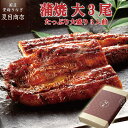 夏目商店 うなぎ 【エントリーでP5倍確定！】プレゼント ギフト うなぎ 蒲焼き 155-167g×3尾 大盛3人前 送料無料 国産 愛知県産 専門店 39(サンキュー)ショップ 母の日 父の日 お祝い 誕生日 食べ物 真空パック 贈り物