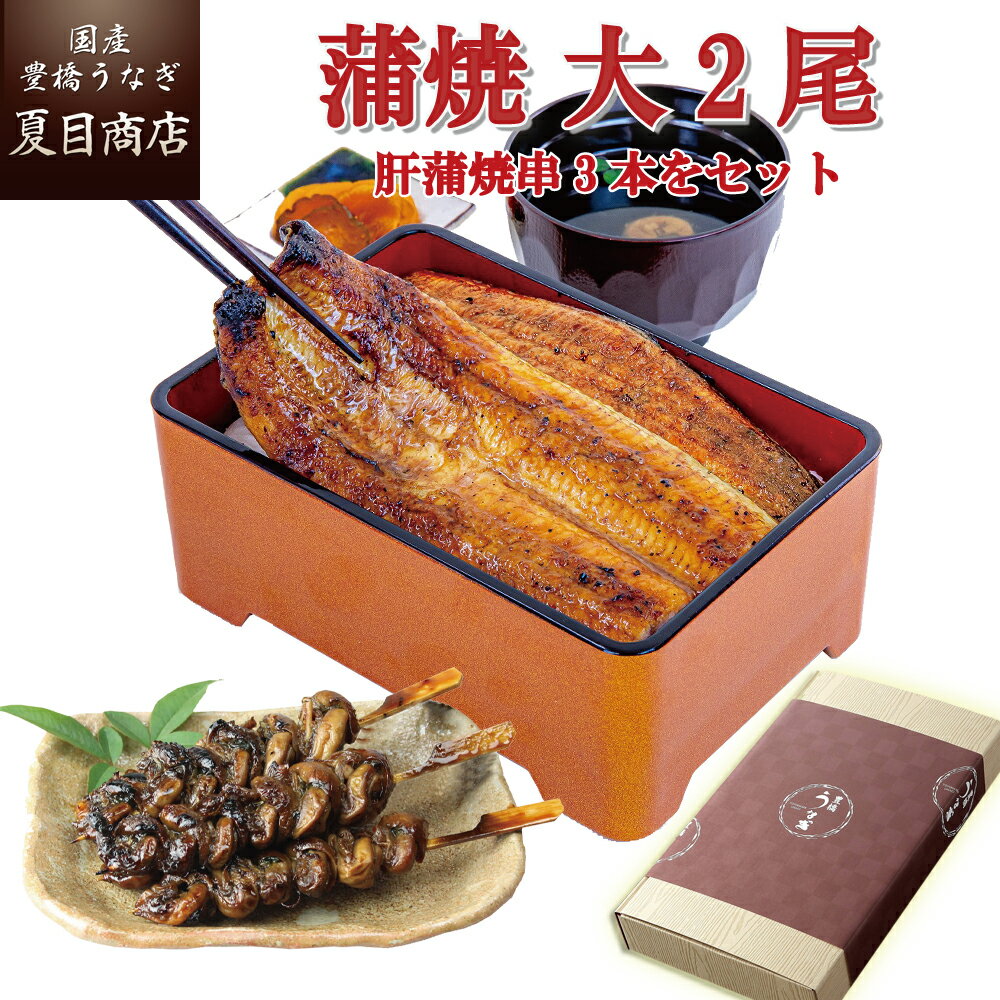 夏目商店 うなぎ プレゼント ギフトうなぎ 蒲焼 155-167g×2尾と肝蒲焼き串×3本 大盛2人前 送料無料 国産 愛知県産 専門店 39(サンキュー)ショップ 母の日 父の日 お祝い 誕生日 食べ物 真空パック 贈り物