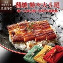 夏目商店 うなぎ 【エントリーでP5倍確定！】プレゼント ギフトうなぎ蒲焼き 211-230g×5尾 特々大サイズ 約10人前 風呂敷包み 送料無料 国産 愛知県産 専門店 39(サンキュー)ショップ 母の日 父の日 お祝い 誕生日 食べ物 真空パック 贈り物