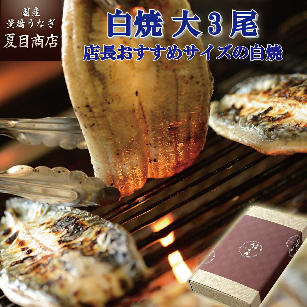 【1日限定！P10倍】プレゼント ギフトうなぎ 白焼き 155-167g×3尾 大盛3人前 岩塩付送料無料 国産 愛知県産 専門店 3…