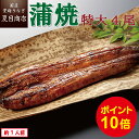 【P10倍で実質13,028円!!】うなぎ蒲焼き 特大181-210g×4尾 約7人前 送料無料 国産 愛知県産 三河産 専門店 39(サンキュー)ショップ お中元 土用の丑の日 暑中見舞い 残暑見舞い 誕生日 プレゼント 食べ物 真空パック 贈り物 ギフト