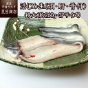 うなぎ 活じめ 生 (頭・肝・骨付) 特大(約260g・3Pサイズ)×2尾 送料無料 国産 愛知県産 専門店 活〆 生 冷蔵 チルド BBQで白焼きや蒲焼きにしてお楽しみください