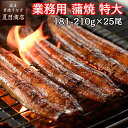 業務用うなぎ蒲焼き 無頭背開き 特大(1尾約181-210g×25尾) 送料無料 国産 愛知県産 専門店 39(サンキュー)ショップ 母の日 父の日 お祝い 誕生日 プレゼント 食べ物 真空パック 贈り物 ギフト