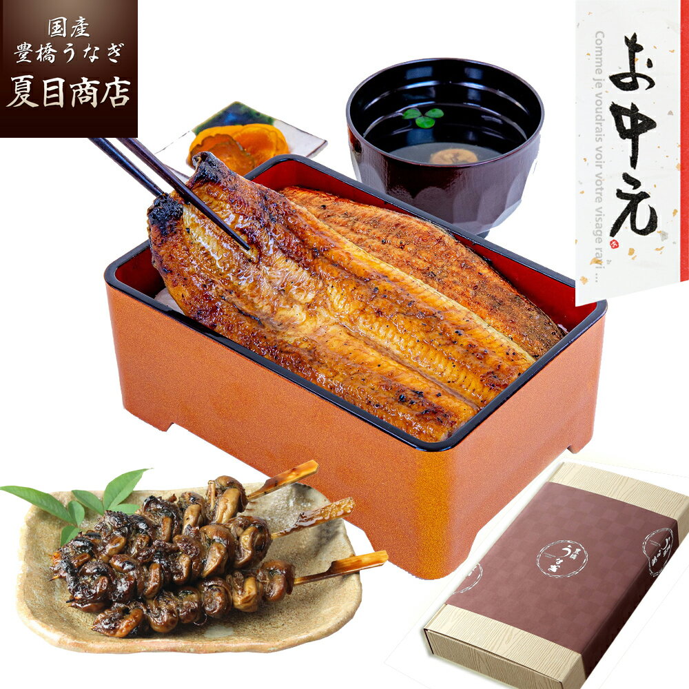 夏目商店 うなぎ 御中元 ギフト プレゼントうなぎ 蒲焼 155-167g×2尾と肝蒲焼き串×3本 大盛2人前 送料無料 国産 愛知県産 専門店 39(サンキュー)ショップ 父の日 お中元 お祝い 誕生日 食べ物 真空パック 贈り物