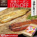 ＼母の日早割700円OFFクーポン／ 母の日 ギフト 早割 うなぎ プレミアム 鰻 国産 無投薬 2尾 約180g (計約360g) 風呂敷包み 鹿児島県産 ウナギ 蒲焼き 土用丑 山田水産 あす楽 食品 2023年販売個数5千個以上 2個目700円クーポン