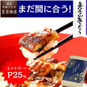 【枚数限定クーポンあり】【エントリーでP25倍→実質5,054円】まだ 間に合う 父の日 プレゼント ギフトうなぎ 鰻 ウナギ unagi 蒲焼き 大サイズ 155-167g×2尾 大盛2人前送料無料 国産 愛知県産 専門店 お中元 誕生日 食べ物 人気 真空パック 贈り物 60代 70代 80代